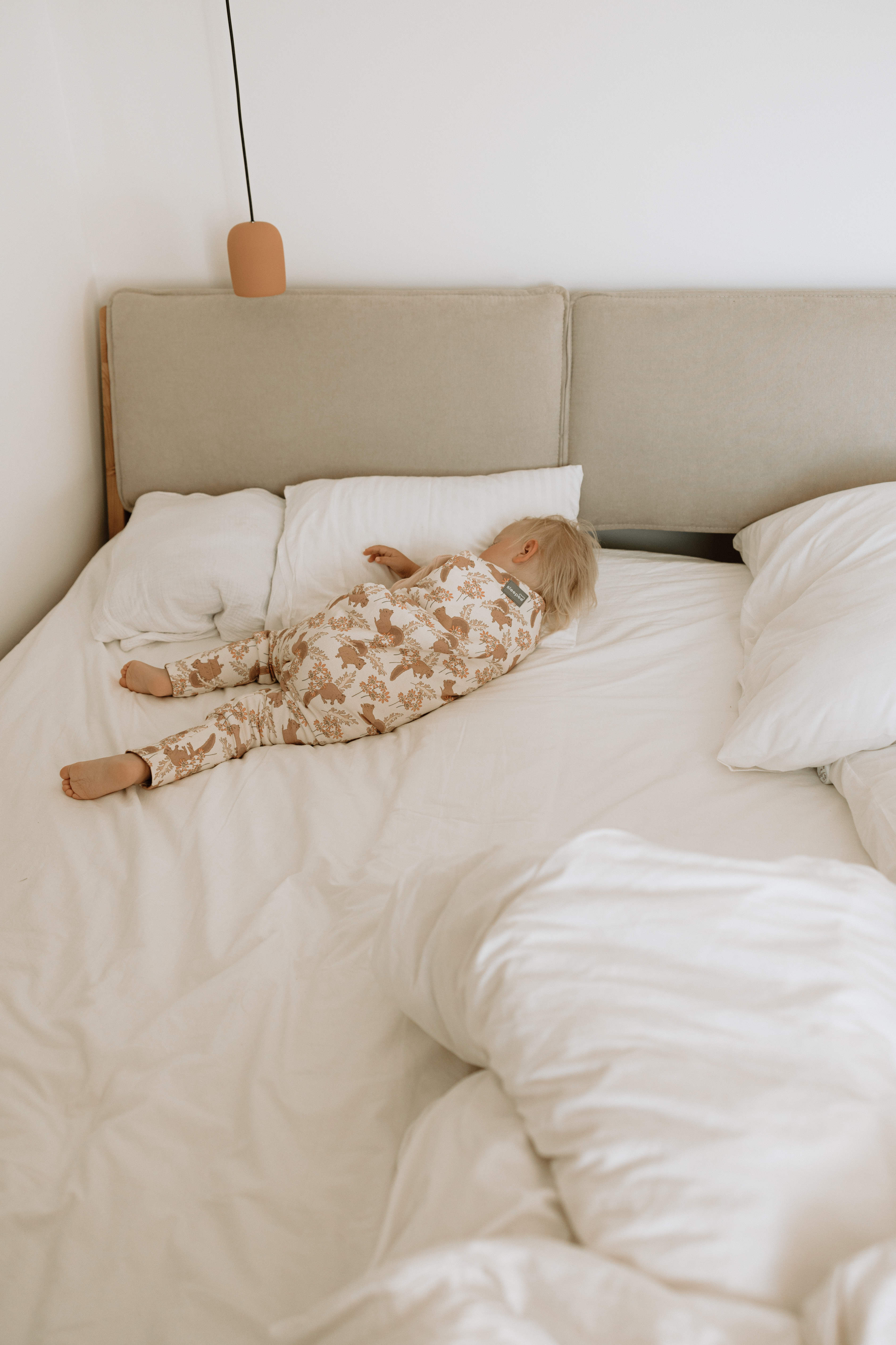 Photo 30.07.2024, 8 28 27